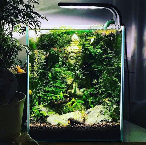 35 Modern Mini Aquarium Designs For Your Small Spaces Homemydesign