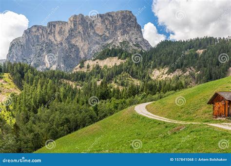 A Picturesque Path Through An Alpine Meadow In The Italian Dolomites