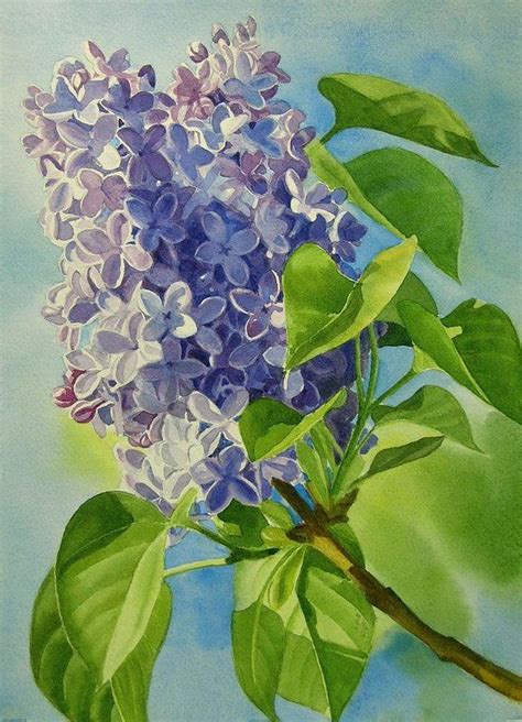 Blue And Lavender Lilacs Art Print By Sharon Freeman Lilac Painting