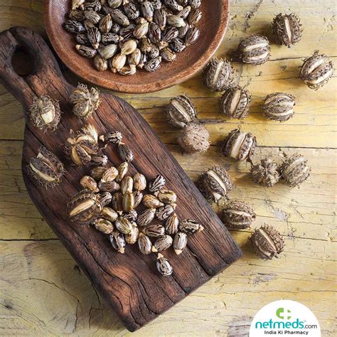 Cumin seed we are manufactures, traders and exporters of all types of spices in south india. Castor Oil: Therapeutic Benefits, Uses For Skin And Hair ...