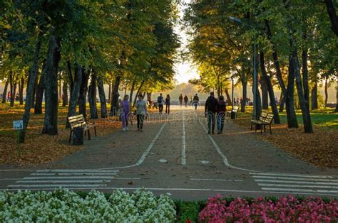 Kremenchuk City Ukraine October 8 2022 Alley Of Pridneprovsky Park