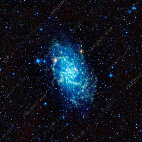 Triangulum Galaxy M33 Infrared Image Stock Image C0105571