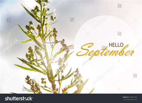 Hello September Wallpaper Autumn Background Stock Photo Edit Now