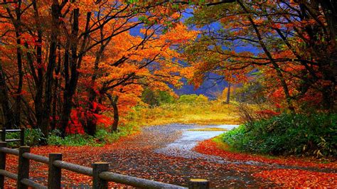 Autumn Wallpaper Widescreen ·① Download Free Amazing High