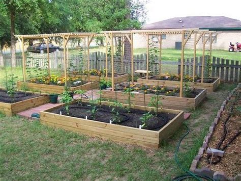 Raised Beds With Overhead Trellises For Vines Garden Trellis Garden