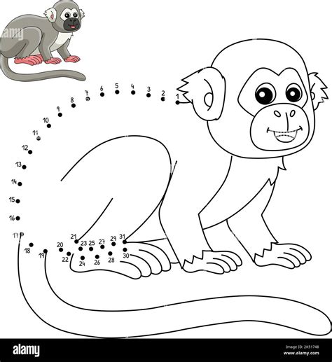 Dot to Dot Squirrel Monkey Isolated Coloring Stock Vector Image & Art