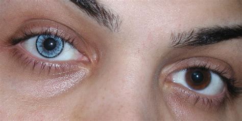 Eye Colors Baby Blue Contact Lenses By Natural Touch Coloring Wallpapers Download Free Images Wallpaper [coloring436.blogspot.com]