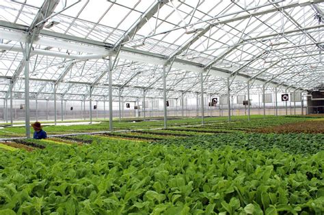Greenhouse Farming And Its Advantages Cultivation Of Crops