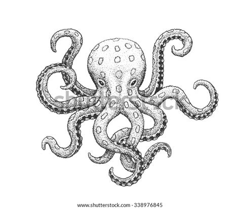 Blueringed Octopus Classic Drawn Ink Illustration Stock Vector Royalty