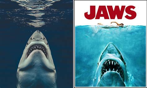 The Real Life Jaws Cage Diver Captures Terrifying Image Of A Great