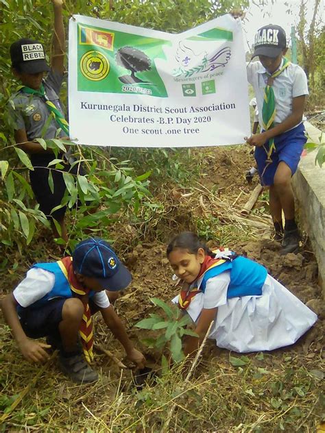 Planting Tree One Scout One Tree World Scouting