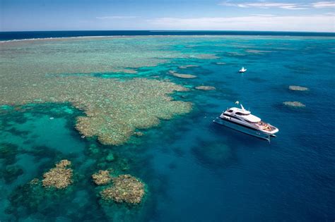 Evolution Reef Cruise Gold Class Cairns Tours