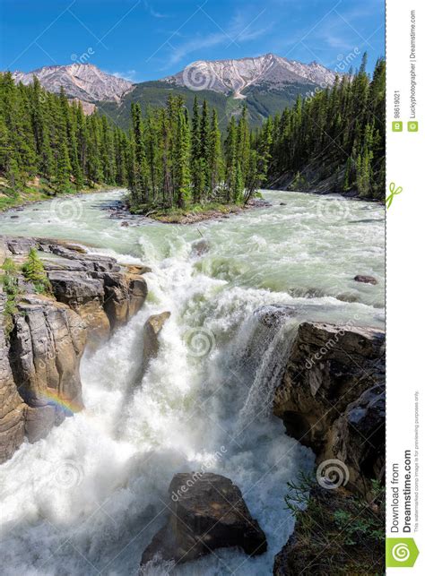Sunwapta Falls Stock Image Image Of Forest Falls Banff 98619021