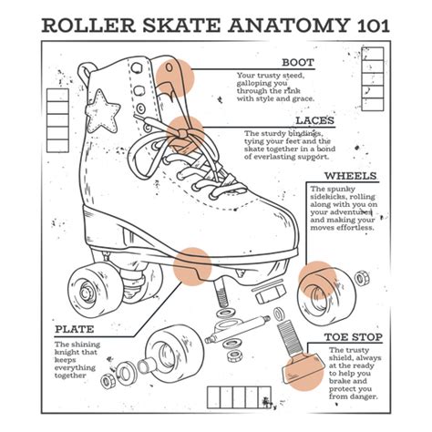 Roller Skate Anatomy 101 Png And Svg Design For T Shirts
