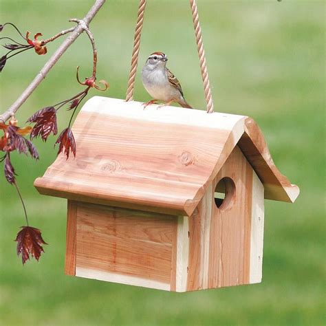 Where To Hang A Wren Bird House Birdhouse Designs Birdhouse Ideas
