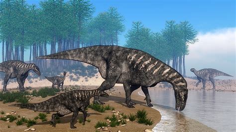 Iguanodon Facts Extinct Animals Of The World