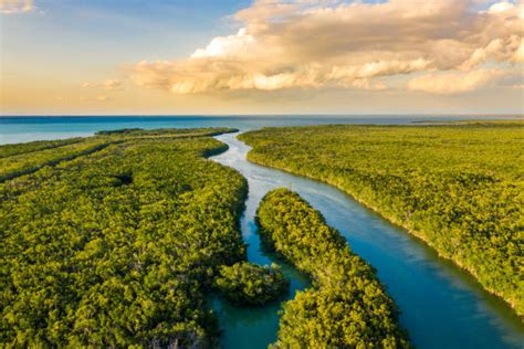 Everglades National Park In Florida Is Worth It Florida Splendors