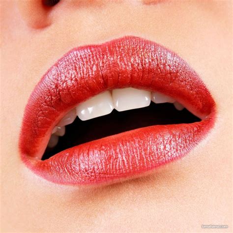 Sensual Female Lips