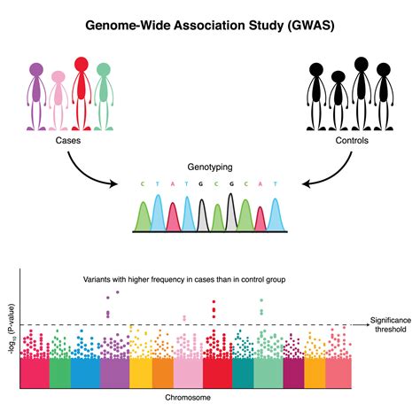 Large Scale Genome Analysis Identifies Differences By Sex In Major Hot Sex Picture