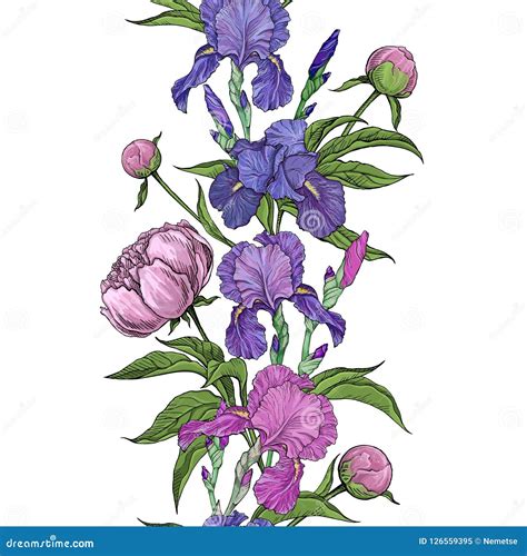 Beautiful Flowers Of Iris And Peony Seamless Border Stock Vector