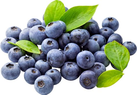 Blueberry Png Images Transparent Free Download