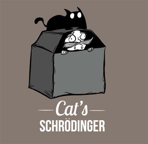 Cats Schrödinger Exploding Kittens Oatmeal Schrödingers Katze Katzen Memes Katzen