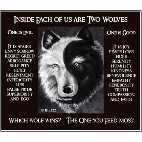 Which Wolf Do You Feed Wisdom Quotes Me Quotes Words Of Wisdom