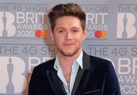 Niall Horan Struggles To Be Friends With Other Artists Metro News