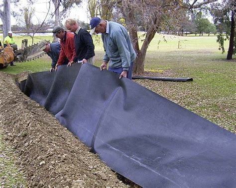 To fix money tree root rot stop watering your money tree right away and cut off infected roots. Buy Root Barrier Membrane Online from Ireland's Garden Shop