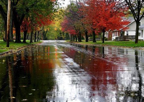 Autumn Rain Autumn Rain Landscape Rainy Days