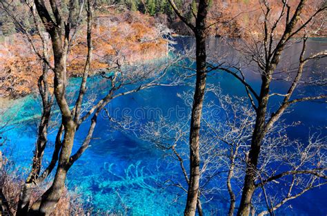 Colorful Lake In Jiuzhaigou China Stock Image Image Of Green
