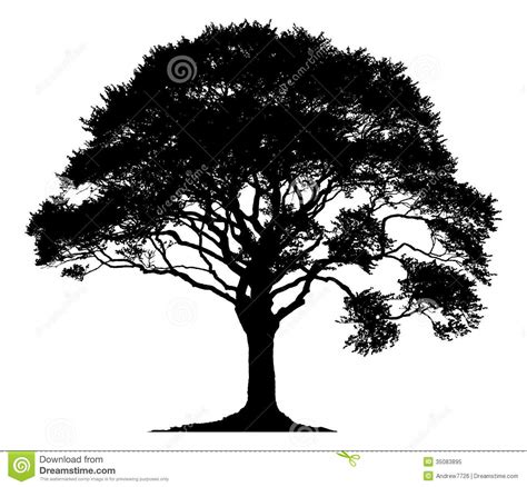 Oak Tree Silhouette Outline