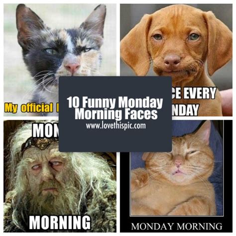 10 Funny Monday Morning Faces