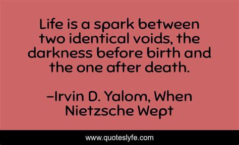 Life Is A Spark Between Two Identical Voids The Darkness Before Birth
