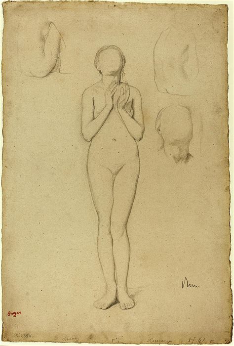 Edgar Degas French Study Of A Female Nude Drawing By Quint Lox Fine Art America