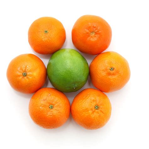 Fresh Mandarin Orange Fruitnanfeng Baby Mandarin Orangegermany Price