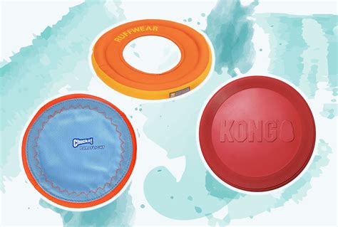 The 11 Best Dog Frisbees And Flying Discs Of 2024