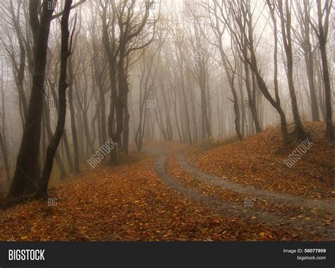 Road Trough Mysterious Image And Photo Free Trial Bigstock