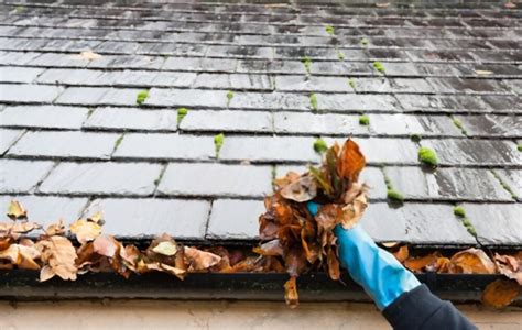 Why Its Important To Maintain Your Roof Guide Roof Paramedics