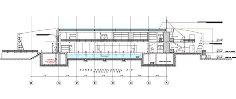Olympic Swimming Pool Centre Section Autocad Drawing Dwg File Cadbull