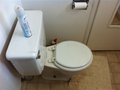 14 Rough In Toilet Choices Page 5 Terry Love Plumbing Advice