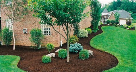 Tips For Landscaping Property Lines Patrizio Landscaping