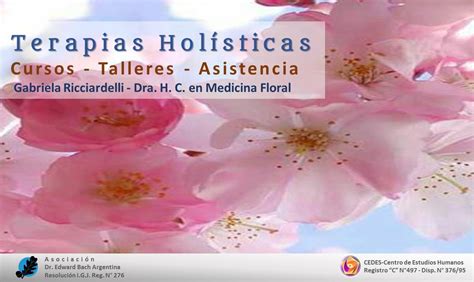 Medicina Floral Hoy Gabriela Ricciardelli Terapias Holísticas Para