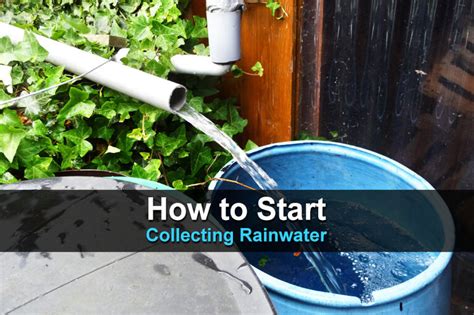 How To Start Collecting Rainwater Theworldofsurvivalcom