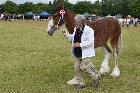 Horses 053 Alyth Agricultural Show 2019 John Mullin Flickr