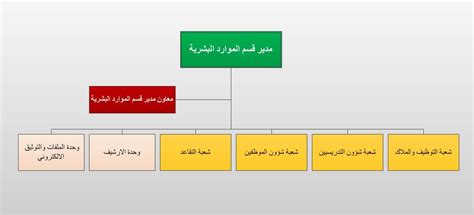 فروع البنك الاهلي المصري في الواحات. الهيكل التنظيمي للقسم - مساعد رئيس الجامعة للشؤون الادارية