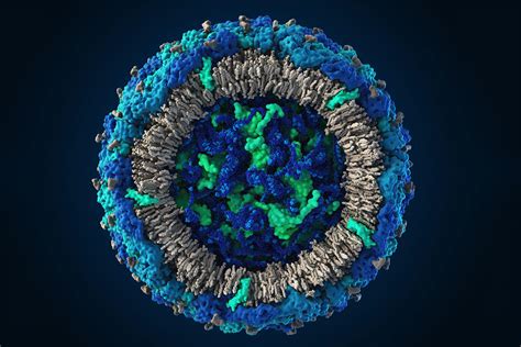 This Is What The Zika Virus Looks Like Close Up Probably New Scientist
