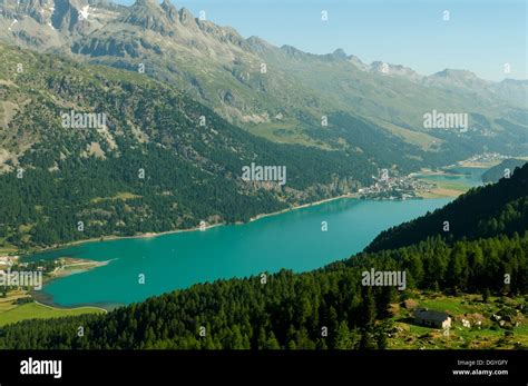 Lake Silvaplana From Furtschellas Switzerland Stock Photo Alamy