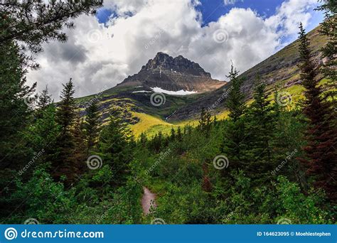 Beargrass Grinnell Glacier Trail Glacier National Park Royalty Free