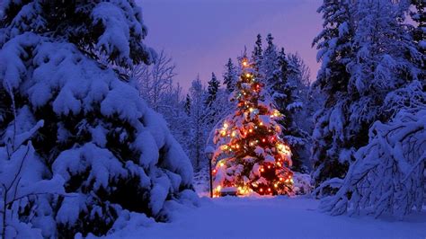 Download Wallpaper 1920x1080 Christmas Trees Garland Snow Forest
